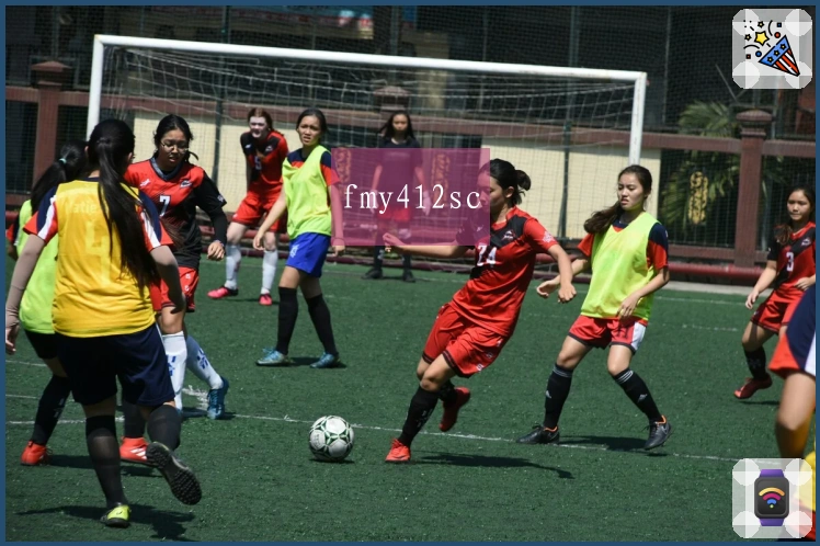 fmy412sc