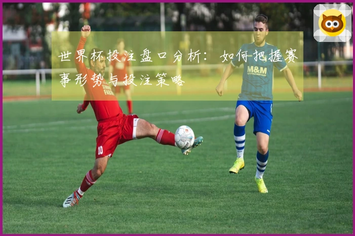 世界杯投注盘口分析：如何把握赛事形势与投注策略