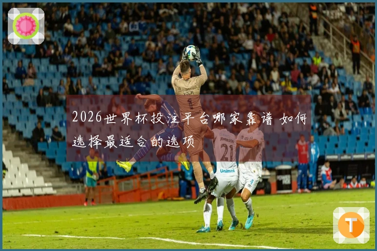 2026世界杯投注平台哪家靠谱 如何选择最适合的选项