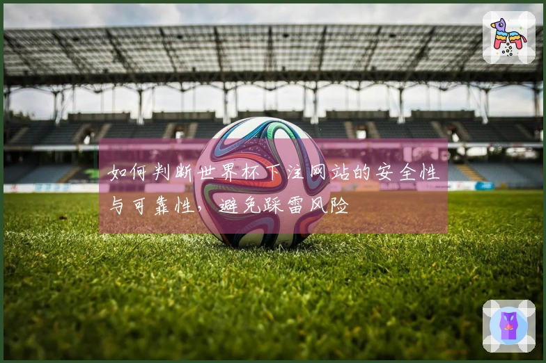 如何判断世界杯下注网站的安全性与可靠性,避免踩雷风险