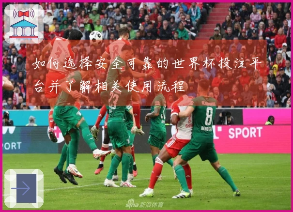 如何选择安全可靠的世界杯投注平台并了解相关使用流程