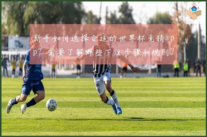 新手如何选择合适的世界杯竞猜app？需要了解哪些下注步骤和规则？