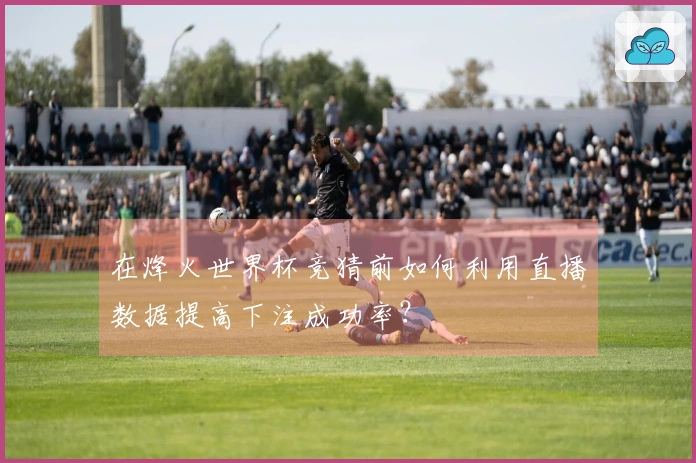 在烽火世界杯竞猜前如何利用直播数据提高下注成功率？